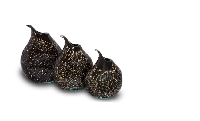 tucuxi